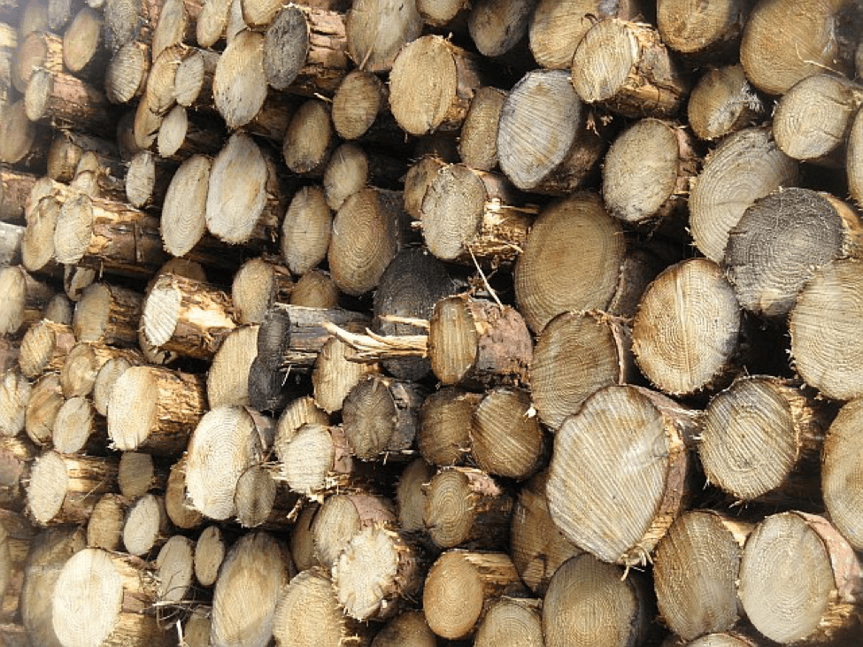 log racks