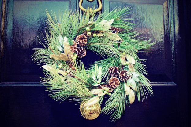 Decorative pine branches image